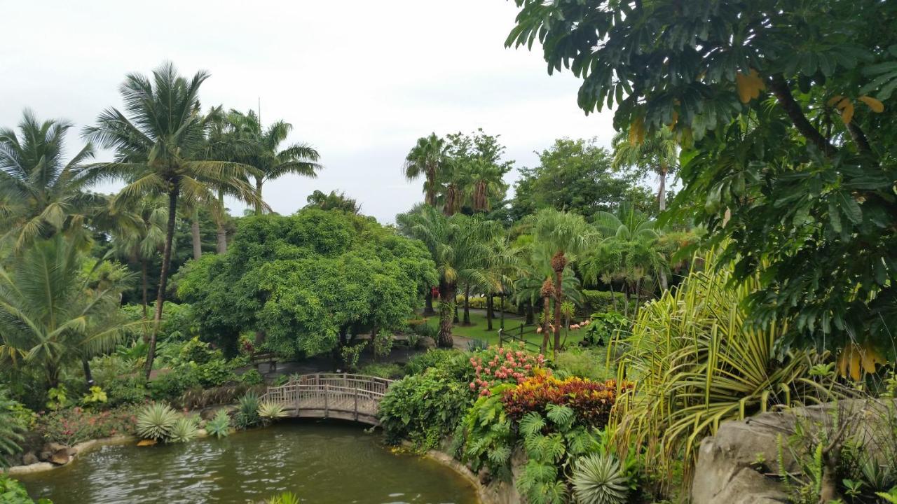 Villa Du Jardin Botanique, Ex. Propriete Coluche Deshaies Eksteriør billede